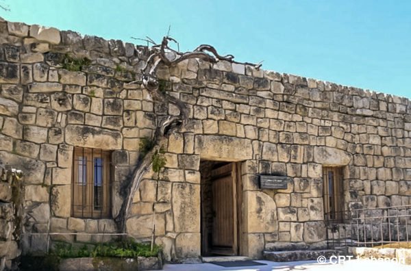Estephan Nehme House